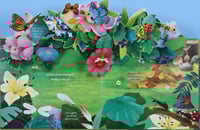 مملكة الحيوان - الحشرات 3D