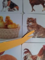 بازل الخضروات