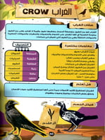 الموسوعة العلمية للأطفال قصص الحيوان في القران الك...