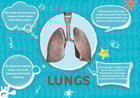 كتاب جسم الإنسان - تقنية الواقع المعزز
