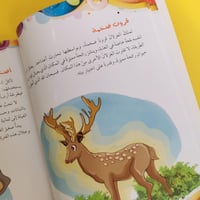 عالم الحيوان الملون