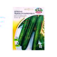 خيار Cucumber