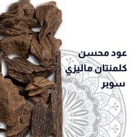 عود محسن كلمنتان ماليزي سوبر