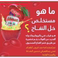 هوليستا فيتا لايت خل التفاح - 90 قطعة