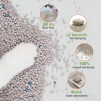 تشكيلة روائح