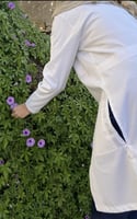 لاب كوت طبي ، ابيض مايل للسكري (رجالي،نسائي)