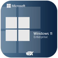 Windows 11 Enterprise | ويندوز 11 إنتربرايز