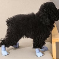 حذاء سيلكون مناسب للحيوانات الأليفة حجم صغير