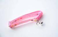 اطواق للقطط بألوان زاهية