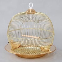 قفص طيور ذهبي حجم وسط