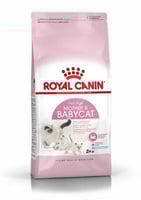 رويال كانين اكل جاف للقطط للام وصغارها Royal Canin