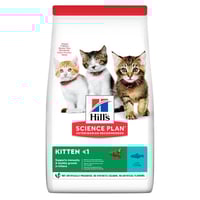 Hills هيلز اكل جاف للقطط الصغيرة بنكهة التونا