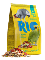 Rio اكل للببغاء مع الفواكة