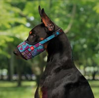 كمامة نايلون بتصميم صيفي للكلاب مقاس M