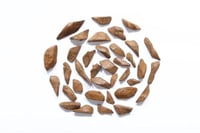 عود مروكي دقة – رائحة عود شرقية أصيلة بجودة عالية