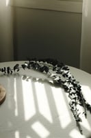 أغصان أوكالبتوس طبيعية مجففه