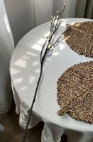 جذع نبات اصطناعي