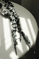 أغصان أوكالبتوس طبيعية مجففه