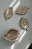 واقيات اكتوبر