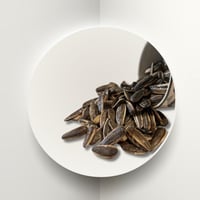 حب دوار الشمس مدخن