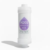 فلتر استحمام