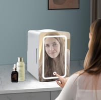 ثلاجة عنايه متنقلة