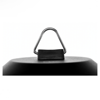 صاعق الحشرات الكهربائي