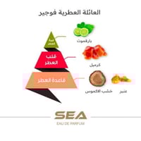 عطر سي - الماجد للعود