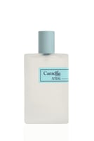 عطور كاميليا - عطر ارتينا Artina