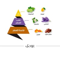 عطر عودي - 50 مل - الماجد للعود