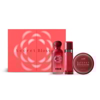 مجموعة سيكريت بلوسوم - قصة