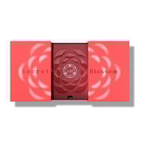 مجموعة سيكريت بلوسوم - قصة