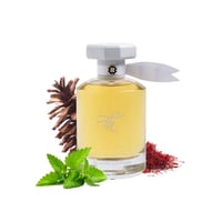 عطر بليزنق سافرون – تي اف ام