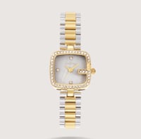 فضي وذهبي - مينا رمادي