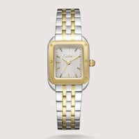 فضي وذهبي - مينا ابيض