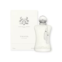 عطر ديلينا الرمادي
