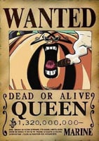 WANTED - A4 (14)