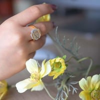 خاتم بالأسم من الصدف الافريقي الطبيعي