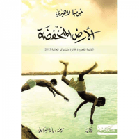 الأرض المنخفضة