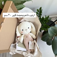 ارنوب مخمل مع ملابس