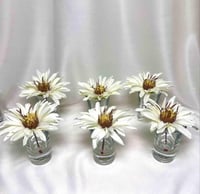 فازات ميني ورد الاقحوان