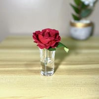 فازات زجاج جوري احمر