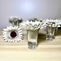 فازات دوار الشمس رمادي 6قطع