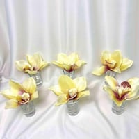 فازات زجاج زهرة الماغنوليا اصفر