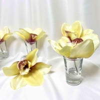 فازات زجاج زهرة الماغنوليا اصفر