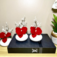 فازات ميني ٦ قطع