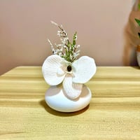 فازات ميني ورد اوف وايت