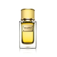 دولتشي اند جابانا فيلفيت ميموسا بلوم