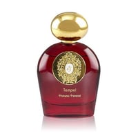 تيزيانا تيرينزي تمبل كوميت اكستريت