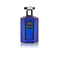 لورينزو فيلوريسي وايلد لافندر